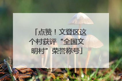 点赞！文登区这个村获评“全国文明村”荣誉称号