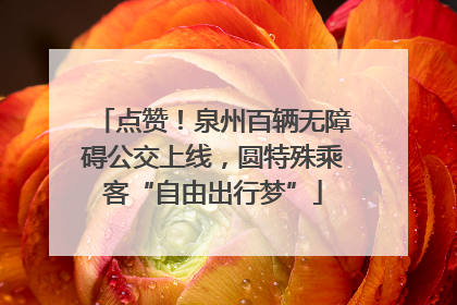 点赞！泉州百辆无障碍公交上线，圆特殊乘客“自由出行梦”