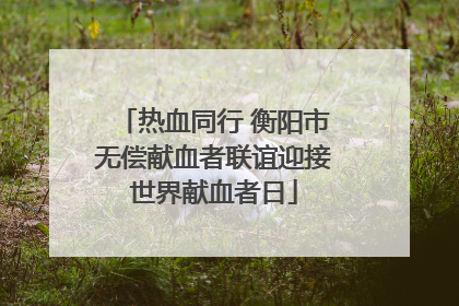 热血同行 衡阳市无偿献血者联谊迎接世界献血者日