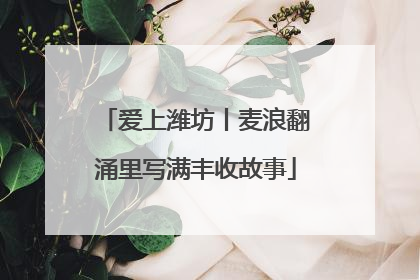 爱上潍坊丨麦浪翻涌里写满丰收故事