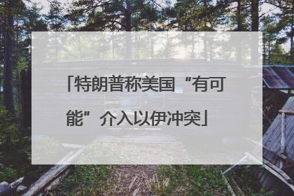 特朗普称美国“有可能”介入以伊冲突
