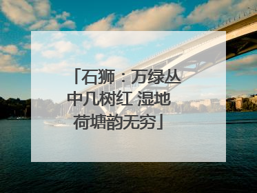 石狮：万绿丛中几树红 湿地荷塘韵无穷