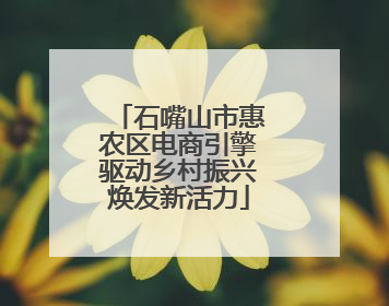 石嘴山市惠农区电商引擎驱动乡村振兴焕发新活力