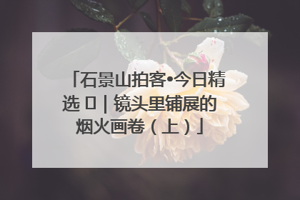 石景山拍客•今日精选 ㉓｜镜头里铺展的烟火画卷（上）