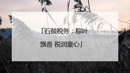石鼓税务：粽叶飘香 税润童心