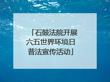 石鼓法院开展六五世界环境日普法宣传活动