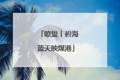瞭望丨碧海蓝天映煤港