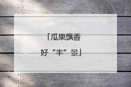 瓜果飘香 好“丰”景