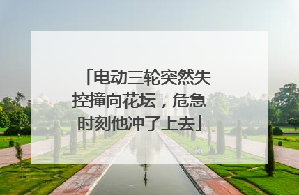 电动三轮突然失控撞向花坛，危急时刻他冲了上去