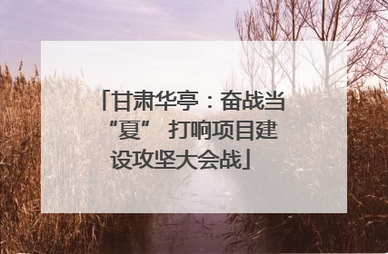 甘肃华亭：奋战当“夏” 打响项目建设攻坚大会战