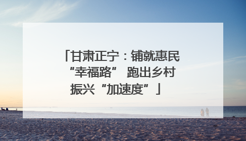 甘肃正宁：铺就惠民“幸福路” 跑出乡村振兴“加速度”