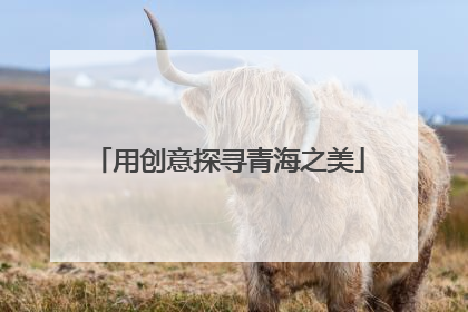 用创意探寻青海之美