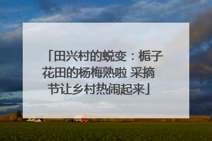 田兴村的蜕变：栀子花田的杨梅熟啦 采摘节让乡村热闹起来
