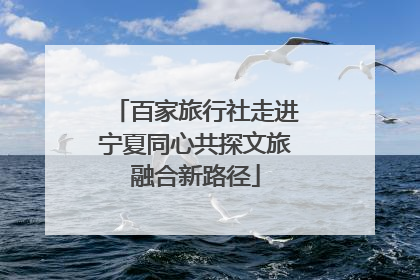 百家旅行社走进宁夏同心共探文旅融合新路径