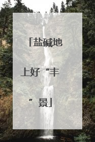 盐碱地上好“丰”景