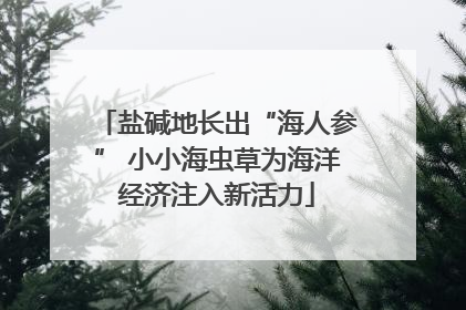 盐碱地长出“海人参” 小小海虫草为海洋经济注入新活力