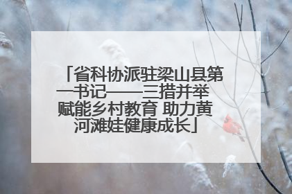 省科协派驻梁山县第一书记——三措并举 赋能乡村教育 助力黄河滩娃健康成长