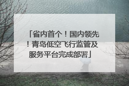 省内首个！国内领先！青岛低空飞行监管及服务平台完成部署