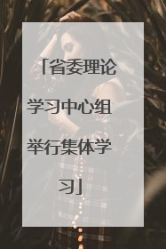 省委理论学习中心组举行集体学习
