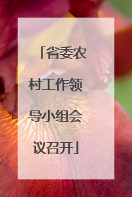 省委农村工作领导小组会议召开