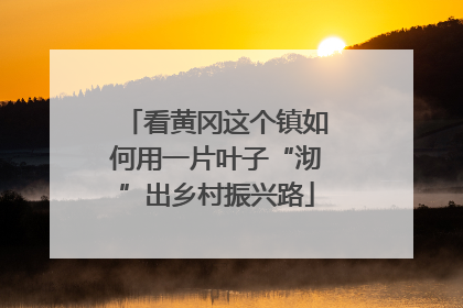 看黄冈这个镇如何用一片叶子“沏”出乡村振兴路
