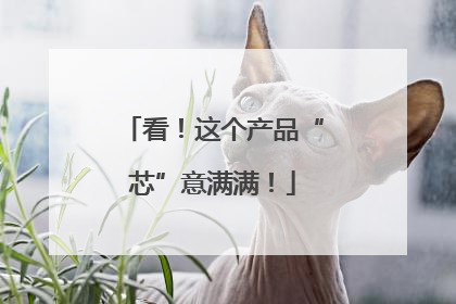 看！这个产品“芯”意满满！
