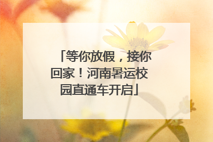 等你放假，接你回家！河南暑运校园直通车开启