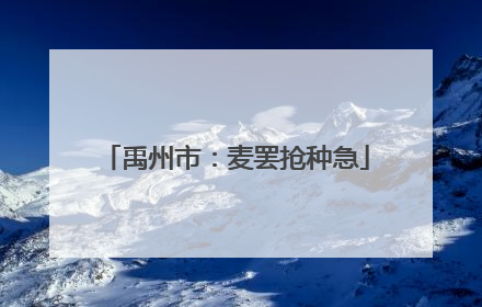 禹州市：麦罢抢种急