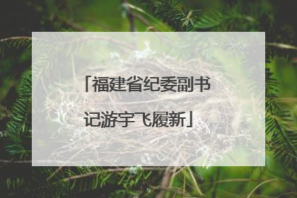 福建省纪委副书记游宇飞履新