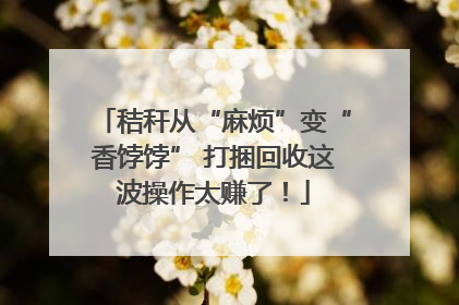 秸秆从“麻烦”变“香饽饽” 打捆回收这波操作太赚了！