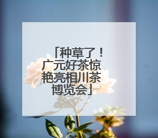 种草了！广元好茶惊艳亮相川茶博览会