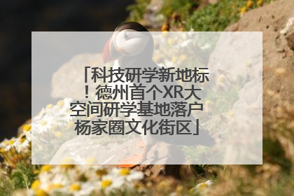 科技研学新地标！德州首个XR大空间研学基地落户杨家圈文化街区