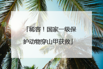 稀客！国家一级保护动物穿山甲获救