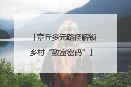章丘多元路径解锁乡村“致富密码”