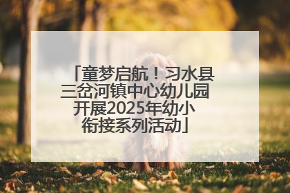 童梦启航！习水县三岔河镇中心幼儿园开展2025年幼小衔接系列活动
