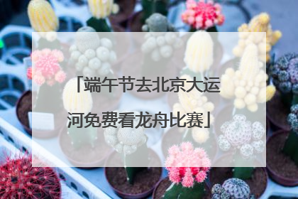 端午节去北京大运河免费看龙舟比赛