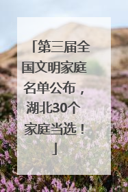第三届全国文明家庭名单公布，湖北30个家庭当选！