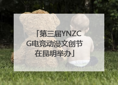 第三届YNZCG电竞动漫文创节在昆明举办