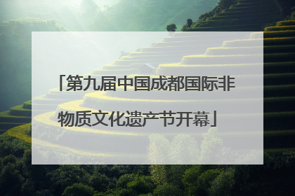 第九届中国成都国际非物质文化遗产节开幕