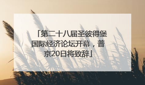 第二十八届圣彼得堡国际经济论坛开幕，普京20日将致辞