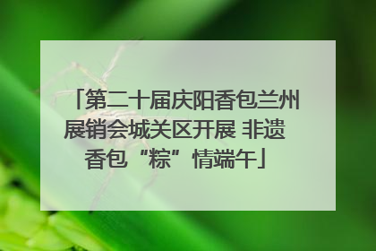 第二十届庆阳香包兰州展销会城关区开展 非遗香包“粽”情端午