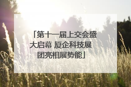 第十一届上交会盛大启幕 厦企科技展团亮相展势能