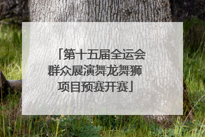 第十五届全运会群众展演舞龙舞狮项目预赛开赛