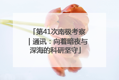 第41次南极考察｜通讯：向着暗夜与深海的科研坚守