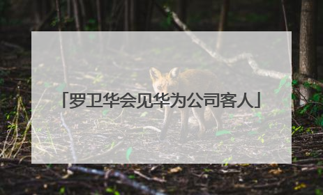 罗卫华会见华为公司客人