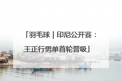 羽毛球｜印尼公开赛：王正行男单首轮晋级