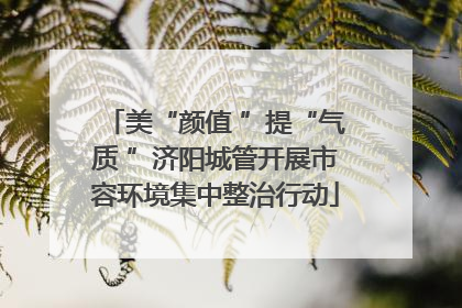 美“颜值 ”提“气质 ”济阳城管开展市容环境集中整治行动