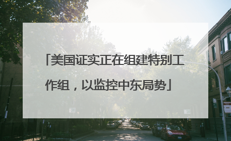 美国证实正在组建特别工作组，以监控中东局势