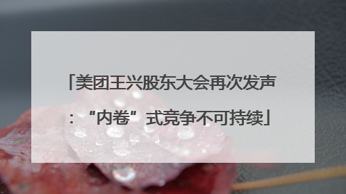 美团王兴股东大会再次发声：“内卷”式竞争不可持续