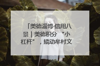 美德淄博·信用八景｜美德积分 “小杠杆”，撬动牟村文明 “大能量”